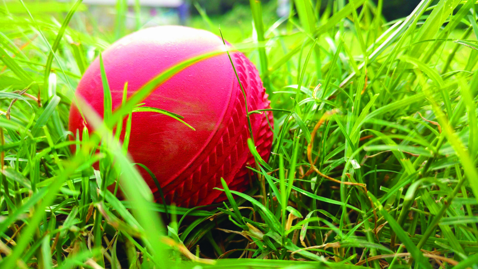 FORTRESS Balones Cricket de Entrenamiento Técnica | Net World Sports